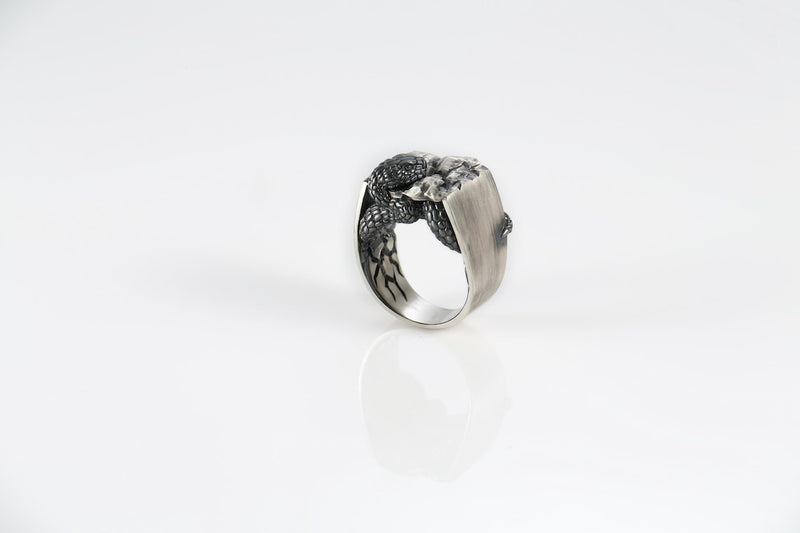 Sterling silver rings by CanarianCanary
