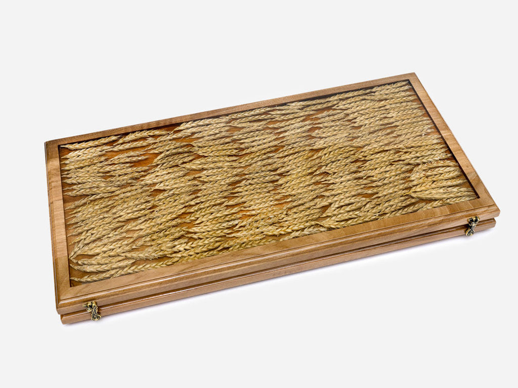 The backgammon board opened for play