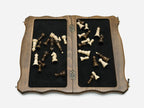 The board open showing both felt-lined compartments with the pieces stored inside
