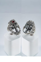 Two-Face Garnet Silver Ring