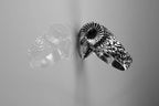 Bold ram horn ring handcrafted in silver