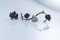 Handcrafted sterling silver vine leaf ear cuff botanical earrings